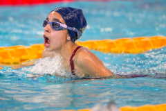 XXVIII Gran Premio Shark
20-21 Dicembre 2025
Piscina Scandone Napoli