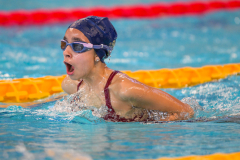 XXVIII Gran Premio Shark
20-21 Dicembre 2025
Piscina Scandone Napoli