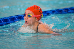 XXVIII Gran Premio Shark
20-21 Dicembre 2025
Piscina Scandone Napoli