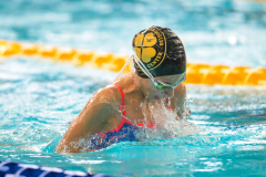 XXVIII Gran Premio Shark
20-21 Dicembre 2025
Piscina Scandone Napoli