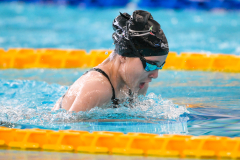 XXVIII Gran Premio Shark
20-21 Dicembre 2025
Piscina Scandone Napoli