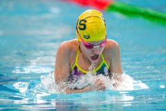 XXVIII Gran Premio Shark
20-21 Dicembre 2025
Piscina Scandone Napoli