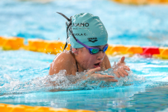 XXVIII Gran Premio Shark
20-21 Dicembre 2025
Piscina Scandone Napoli