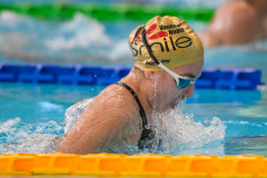 XXVIII Gran Premio Shark
20-21 Dicembre 2025
Piscina Scandone Napoli