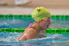 XXVIII Gran Premio Shark
20-21 Dicembre 2025
Piscina Scandone Napoli