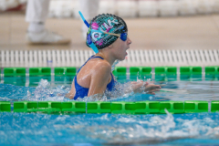 XXVIII Gran Premio Shark
20-21 Dicembre 2025
Piscina Scandone Napoli