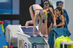 XXVIII Gran Premio Shark
20-21 Dicembre 2025
Piscina Scandone Napoli