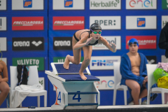 XXVIII Gran Premio Shark
20-21 Dicembre 2025
Piscina Scandone Napoli
