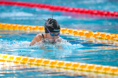 XXVIII Gran Premio Shark
20-21 Dicembre 2025
Piscina Scandone Napoli