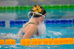 XXVIII Gran Premio Shark
20-21 Dicembre 2025
Piscina Scandone Napoli