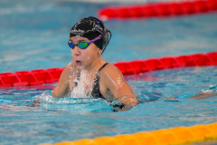 XXVIII Gran Premio Shark
20-21 Dicembre 2025
Piscina Scandone Napoli