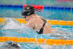 XXVIII Gran Premio Shark
20-21 Dicembre 2025
Piscina Scandone Napoli