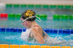 XXVIII Gran Premio Shark
20-21 Dicembre 2025
Piscina Scandone Napoli