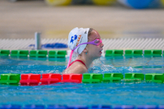 XXVIII Gran Premio Shark20-21 Dicembre 2025Piscina Scandone Napoli