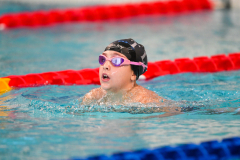 XXVIII Gran Premio Shark20-21 Dicembre 2025Piscina Scandone Napoli