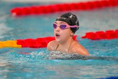 XXVIII Gran Premio Shark20-21 Dicembre 2025Piscina Scandone Napoli