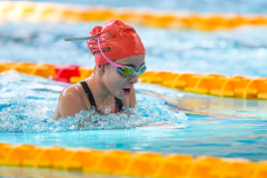 XXVIII Gran Premio Shark20-21 Dicembre 2025Piscina Scandone Napoli