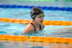 XXVIII Gran Premio Shark20-21 Dicembre 2025Piscina Scandone Napoli