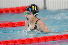 XXVIII Gran Premio Shark
20-21 Dicembre 2025
Piscina Scandone Napoli