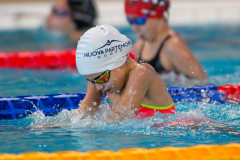 XXVIII Gran Premio Shark
20-21 Dicembre 2025
Piscina Scandone Napoli