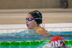 XXVIII Gran Premio Shark
20-21 Dicembre 2025
Piscina Scandone Napoli