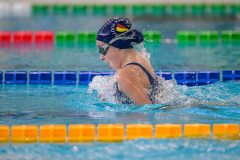 XXVIII Gran Premio Shark
20-21 Dicembre 2025
Piscina Scandone Napoli