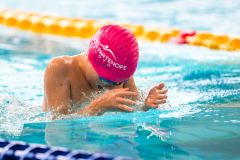 XXVIII Gran Premio Shark20-21 Dicembre 2025Piscina Scandone Napoli