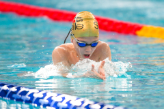 XXVIII Gran Premio Shark20-21 Dicembre 2025Piscina Scandone Napoli