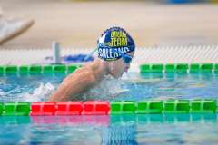 XXVIII Gran Premio Shark
20-21 Dicembre 2025
Piscina Scandone Napoli