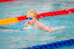 XXVIII Gran Premio Shark
20-21 Dicembre 2025
Piscina Scandone Napoli