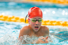 XXVIII Gran Premio Shark
20-21 Dicembre 2025
Piscina Scandone Napoli