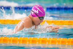 XXVIII Gran Premio Shark
20-21 Dicembre 2025
Piscina Scandone Napoli