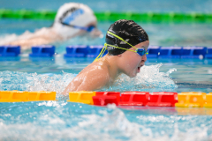 XXVIII Gran Premio Shark
20-21 Dicembre 2025
Piscina Scandone Napoli