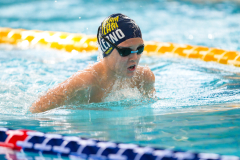 XXVIII Gran Premio Shark
20-21 Dicembre 2025
Piscina Scandone Napoli