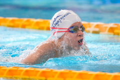 XXVIII Gran Premio Shark
20-21 Dicembre 2025
Piscina Scandone Napoli