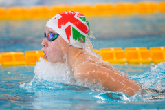 XXVIII Gran Premio Shark
20-21 Dicembre 2025
Piscina Scandone Napoli