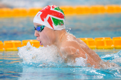 XXVIII Gran Premio Shark
20-21 Dicembre 2025
Piscina Scandone Napoli