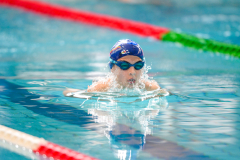 XXVIII Gran Premio Shark
20-21 Dicembre 2025
Piscina Scandone Napoli