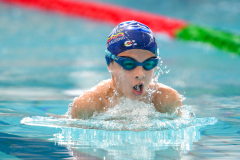 XXVIII Gran Premio Shark
20-21 Dicembre 2025
Piscina Scandone Napoli