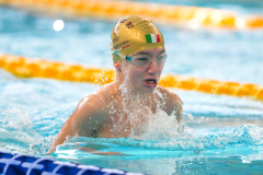 XXVIII Gran Premio Shark
20-21 Dicembre 2025
Piscina Scandone Napoli