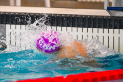 XXVIII Gran Premio Shark
20-21 Dicembre 2025
Piscina Scandone Napoli