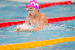 XXVIII Gran Premio Shark
20-21 Dicembre 2025
Piscina Scandone Napoli