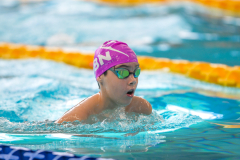 XXVIII Gran Premio Shark20-21 Dicembre 2025Piscina Scandone Napoli