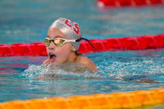 XXVIII Gran Premio Shark20-21 Dicembre 2025Piscina Scandone Napoli