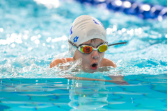 XXVIII Gran Premio Shark
20-21 Dicembre 2025
Piscina Scandone Napoli