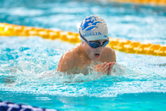 XXVIII Gran Premio Shark
20-21 Dicembre 2025
Piscina Scandone Napoli