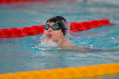 XXVIII Gran Premio Shark
20-21 Dicembre 2025
Piscina Scandone Napoli