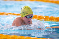 XXVIII Gran Premio Shark
20-21 Dicembre 2025
Piscina Scandone Napoli