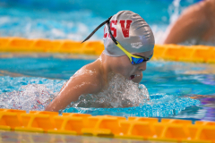 XXVIII Gran Premio Shark
20-21 Dicembre 2025
Piscina Scandone Napoli