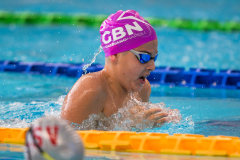 XXVIII Gran Premio Shark
20-21 Dicembre 2025
Piscina Scandone Napoli